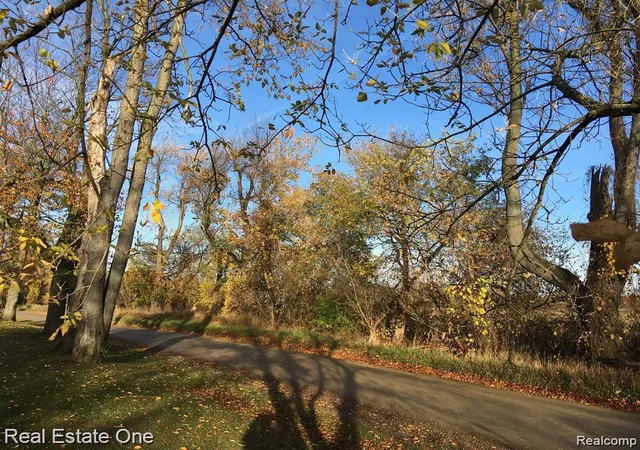 5th image of 000 Parks, Oxford, MI 48371 | MLS# 20251021612
