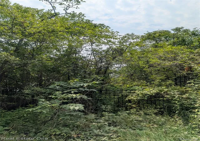 Photo 2 of Land for sale at 0000 Ward Rd, Bloomfield Hills, MI 48302 | MLS# 20251022106 | Listing updated on 2026-07-24