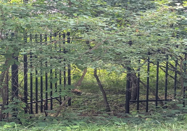 Photo 3 of Land for sale at 0000 Ward Rd, Bloomfield Hills, MI 48302 | MLS# 20251022106 | Listing updated on 2026-07-24