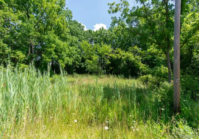 Photo 1 of Land for sale at Lot 106 Hollywood, Romulus City Wayne, MI 48174 | MLS# 20251022244 | Listing updated on 2026-06-11
