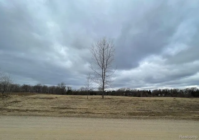 Photo 2 of Land for sale at Parcel S 3 Creek Ln, Dryden Township Lapeer, MI 48428 | MLS# 20251023159 | Listing updated on 2026-08-31