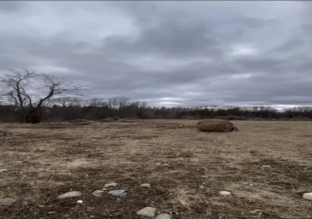 Photo 3 of Land for sale at Parcel S 3 Creek Ln, Dryden Township Lapeer, MI 48428 | MLS# 20251023159 | Listing updated on 2026-08-31