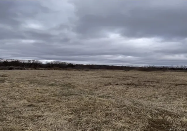 Photo 4 of Land for sale at Parcel S 3 Creek Ln, Dryden Township Lapeer, MI 48428 | MLS# 20251023159 | Listing updated on 2026-08-31
