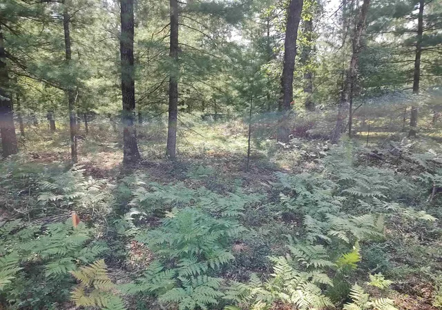 Photo 1 of Land for sale at Lot 186 Winterset Dr, Alger, MI 48610 | MLS# 77080060383 | Listing updated on 2026-08-02