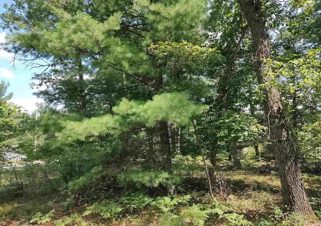 Photo 2 of Land for sale at Lot 186 Winterset Dr, Alger, MI 48610 | MLS# 77080060383 | Listing updated on 2026-08-02