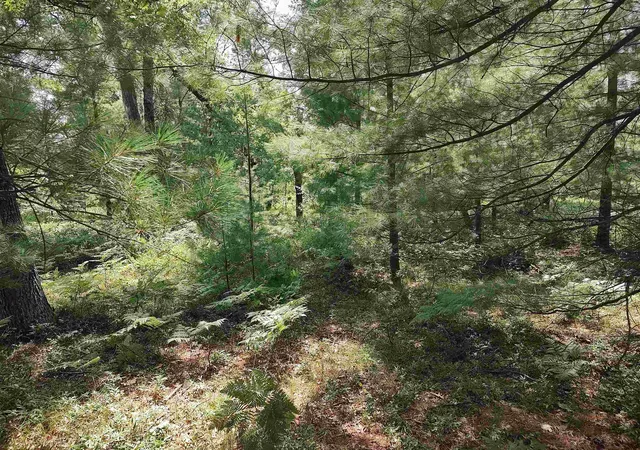 Photo 3 of Land for sale at Lot 186 Winterset Dr, Alger, MI 48610 | MLS# 77080060383 | Listing updated on 2026-08-02