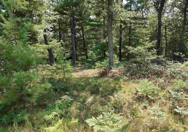 Photo 4 of Land for sale at Lot 186 Winterset Dr, Alger, MI 48610 | MLS# 77080060383 | Listing updated on 2026-08-02