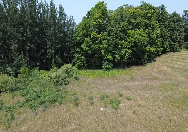 Photo 4 of Land for sale at Unit #8 Turnberry Cir, Williamsburg, MI 49690 | MLS# 78080060396 | Listing updated on 2026-09-03