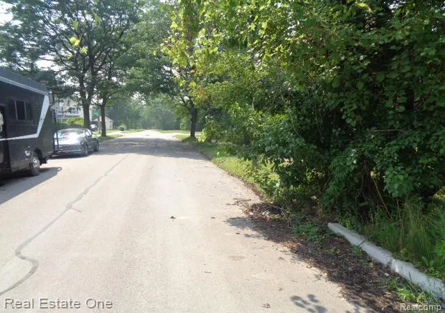 Photo 4 of Land for sale at 2534 W Forest Ave, Detroit, MI 48208 | MLS# 20251023451 | Listing updated on 2026-05-22