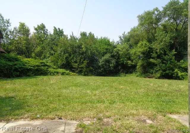 Photo 1 of Land for sale at 2526 W Forest Ave, Detroit, MI 48208 | MLS# 20251023453 | Listing updated on 2026-07-22