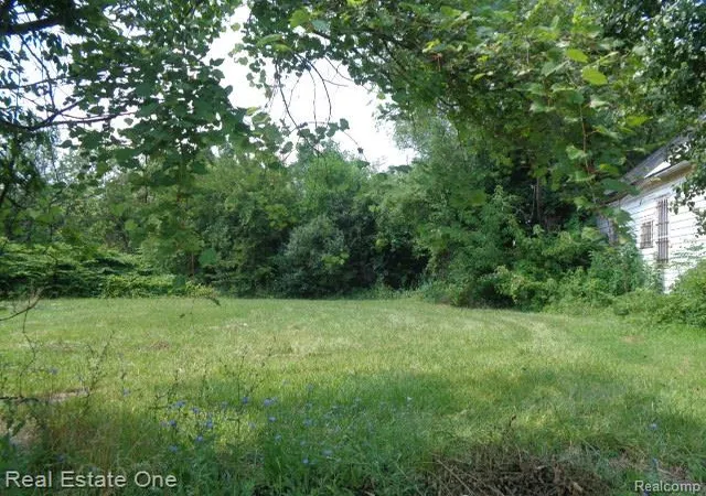 Photo 2 of Land for sale at 2526 W Forest Ave, Detroit, MI 48208 | MLS# 20251023453 | Listing updated on 2026-07-22