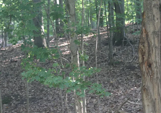 1st image of Lot 20 Crystal View, Beulah, MI 49617 | MLS# 78080060521