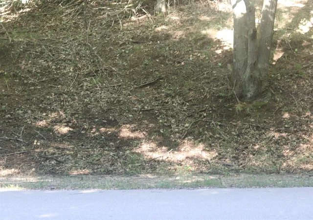 5th image of Lot 20 Crystal View, Beulah, MI 49617 | MLS# 78080060521