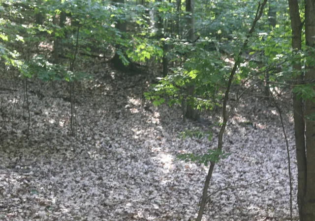 8th image of Lot 20 Crystal View, Beulah, MI 49617 | MLS# 78080060521