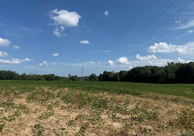 2nd image of Vl S Mill Rd, Metamora, MI 48455 | MLS# 20251024867