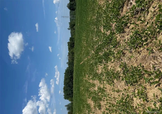 3rd image of Vl S Mill Rd, Metamora, MI 48455 | MLS# 20251024867