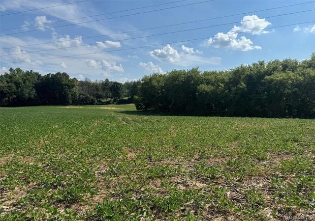 4th image of Vl S Mill Rd, Metamora, MI 48455 | MLS# 20251024867