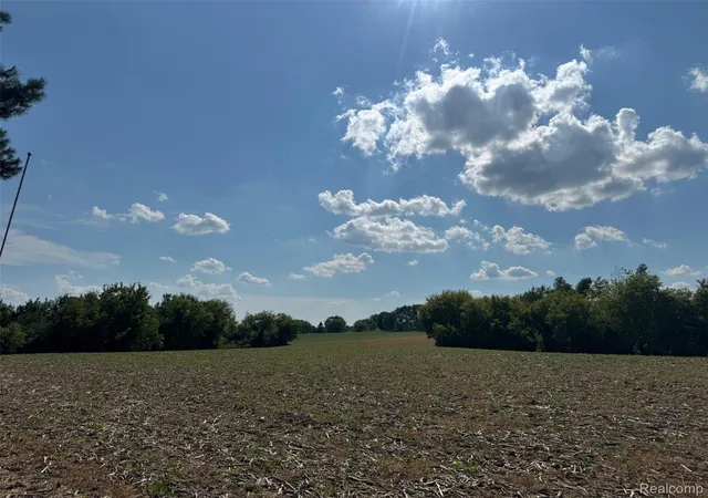 5th image of Vl S Mill Rd, Metamora, MI 48455 | MLS# 20251024867