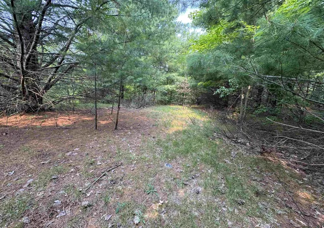 Photo 3 of Land for sale at Lot #1 E Bellinger Rd, Kasson Township Leelanau, MI 49621 | MLS# 78080060575 | Listing updated on 2026-07-12