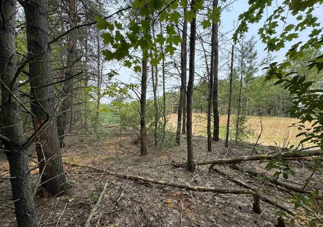 Photo 4 of Land for sale at Lot #1 E Bellinger Rd, Kasson Township Leelanau, MI 49621 | MLS# 78080060575 | Listing updated on 2026-07-12