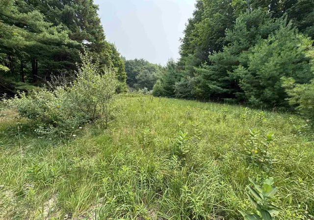 Homes for sale in Kasson Township Leelanau, MI | Lot #4 E Bellinger Rd, Kasson Township Leelanau, MI 49621 | MLS# 78080060666