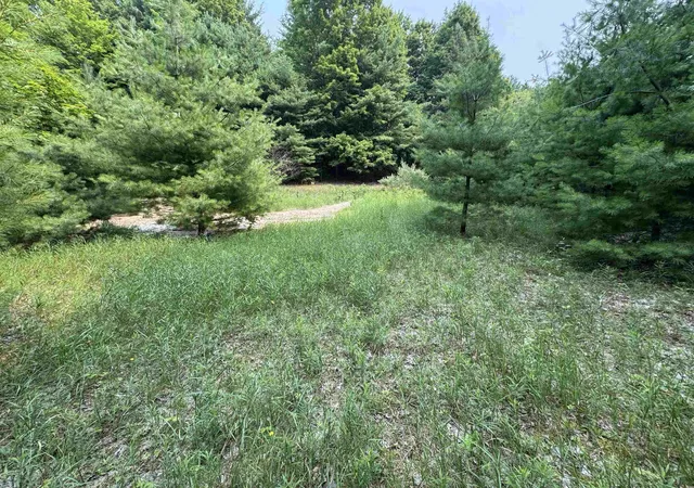 Homes for sale in Kasson Township Leelanau, MI | Lot #4 E Bellinger Rd, Kasson Township Leelanau, MI 49621 | MLS# 78080060666