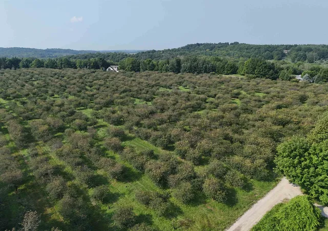 Photo 4 of Land for sale at V/L E Tatch Rd, Northport, MI 49670 | MLS# 78080060690 | Listing updated on 2026-08-27