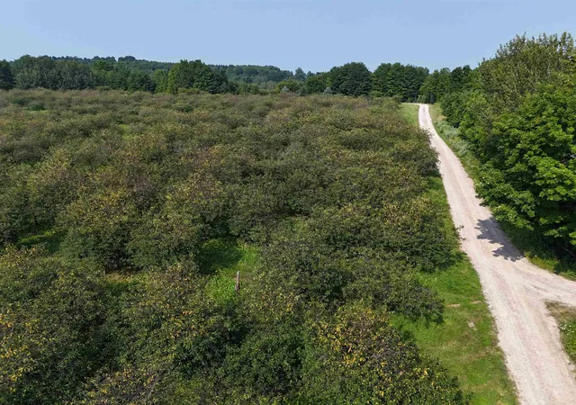 Photo 5 of Land for sale at V/L E Tatch Rd, Northport, MI 49670 | MLS# 78080060690 | Listing updated on 2026-08-27