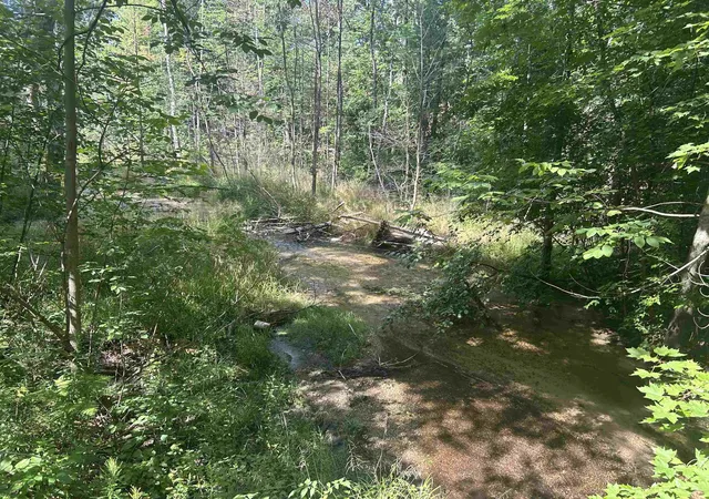 Photo 1 of Land for sale at Parcel S 2 M 88, Bellaire, MI 49615 | MLS# 78080060817 | Listing updated on 2026-07-04
