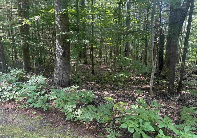 Photo 4 of Land for sale at Parcel S 2 M 88, Bellaire, MI 49615 | MLS# 78080060817 | Listing updated on 2026-07-04