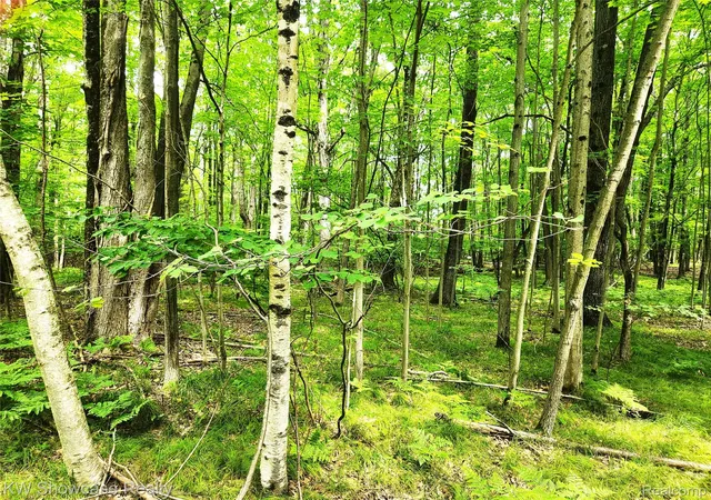 Photo 1 of Land for sale at 000 Red Fox Run, Farwell, MI 48622 | MLS# 20251027920 | Listing updated on 2026-08-14