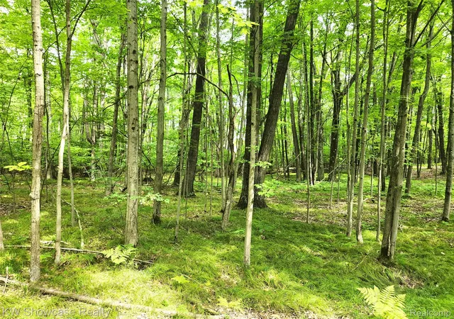Photo 1 of Land for sale at 000 Red Fox Run, Farwell, MI 48622 | MLS# 20251027921 | Listing updated on 2026-08-14