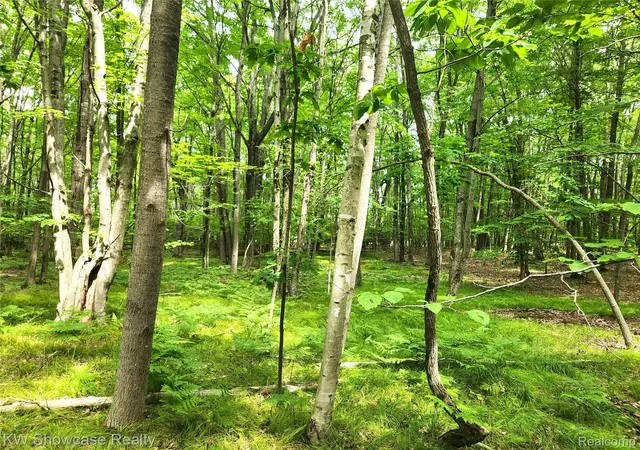 Photo 3 of Land for sale at 000 Red Fox Run, Farwell, MI 48622 | MLS# 20251027921 | Listing updated on 2026-08-14