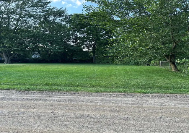 Photo 2 of Land for sale at 0 W Gracelawn Ave, Flint, MI 48504 | MLS# 20251028656 | Listing updated on 2026-09-15