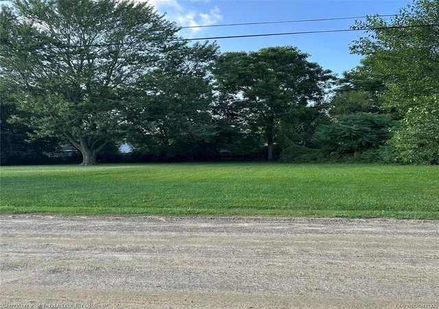 Photo 3 of Land for sale at 0 W Gracelawn Ave, Flint, MI 48504 | MLS# 20251028656 | Listing updated on 2026-09-15
