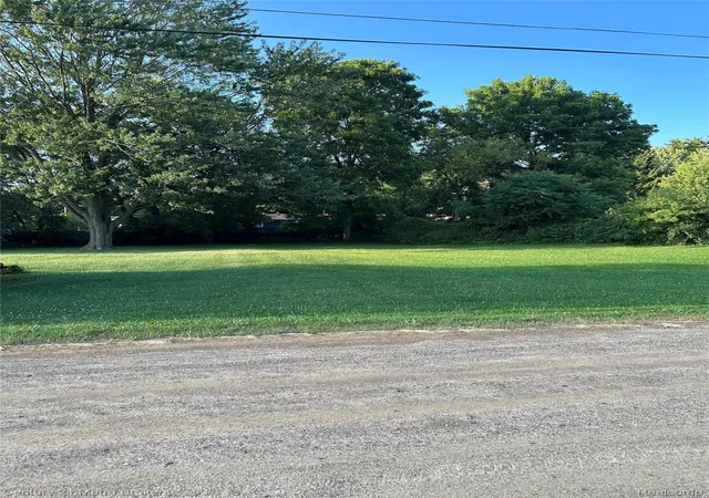 Photo 3 of Land for sale at 0 W Gracelawn Ave, Flint, MI 48504 | MLS# 20251028656 | Listing updated on 2026-09-15