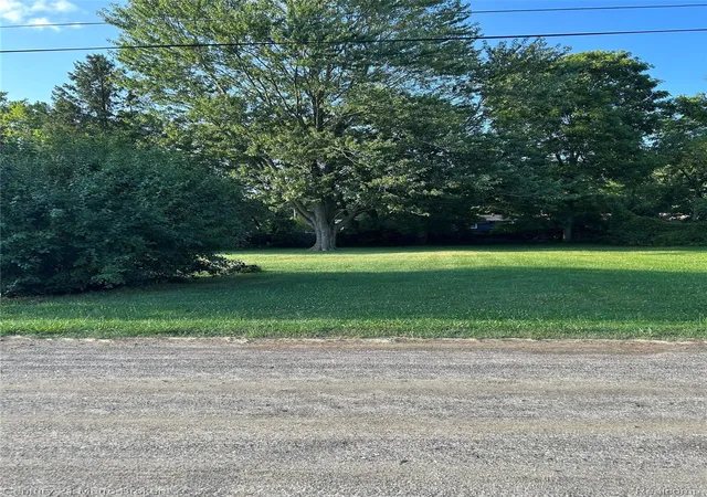 Photo 4 of Land for sale at 0 W Gracelawn Ave, Flint, MI 48504 | MLS# 20251028656 | Listing updated on 2026-09-15