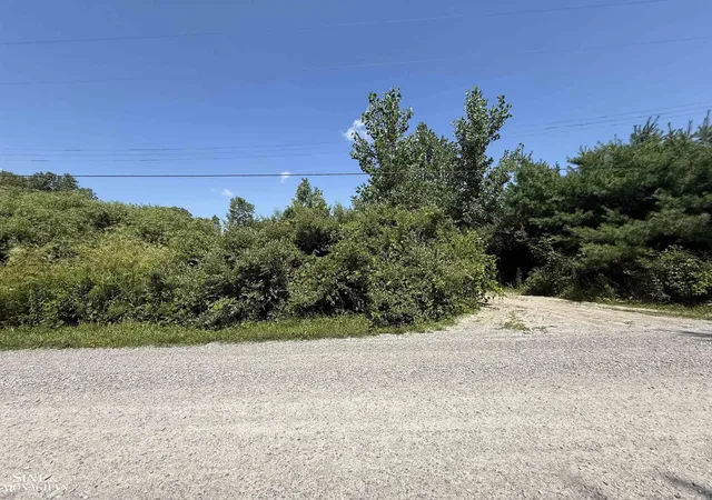 1st image of 0 Wall Rd, Port Huron, MI 48060 | MLS# 58050185999