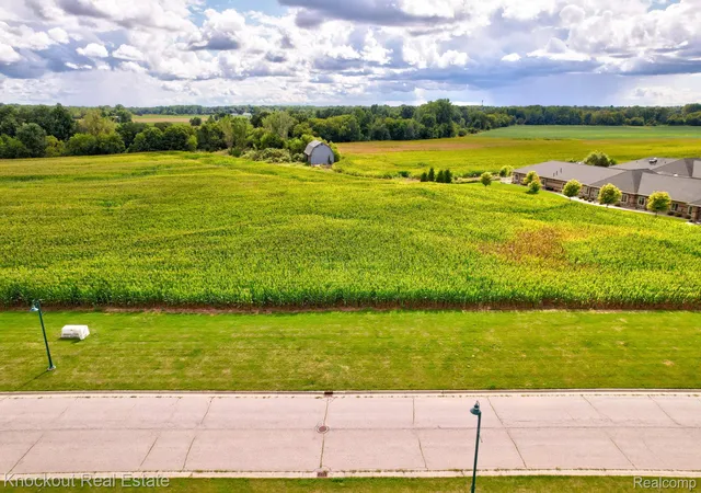 Photo 3 of Land for sale at Parcel D W Rolling Hills Dr, Bridgeport, MI 48722 | MLS# 20251030304 | Listing updated on 2026-08-10