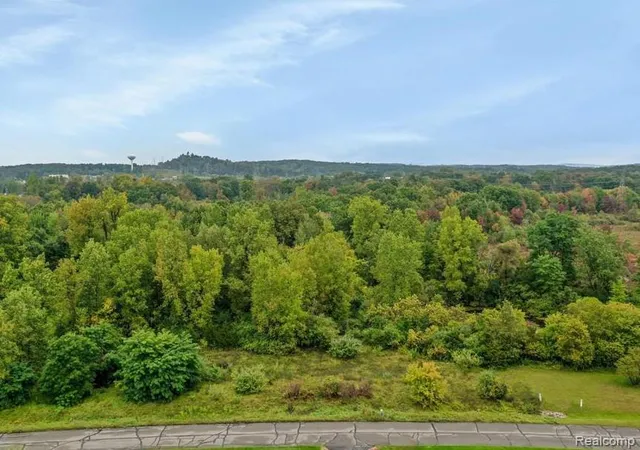 Photo 1 of Land for sale at 6095 Whispering Meadows Dr, White Lake, MI 48383 | MLS# 20251030757 | Listing updated on 2026-08-18