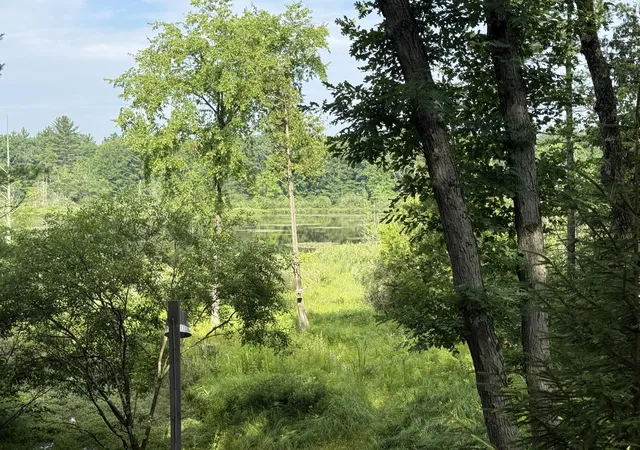 5th image of 8733 S James Rd, Baldwin, MI 49304 | MLS# 66025043868