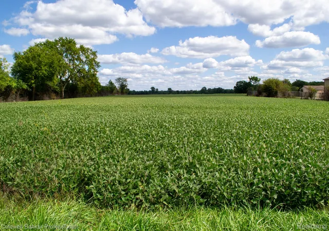 Photo 2 of Land for sale at 000 Clio Rd, Mount Morris, MI 48458 | MLS# 20251031916 | Listing updated on 2026-08-28
