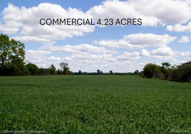 Photo 1 of Land for sale at 000 Clio Rd, Mount Morris, MI 48458 | MLS# 20251031916 | Listing updated on 2026-08-28