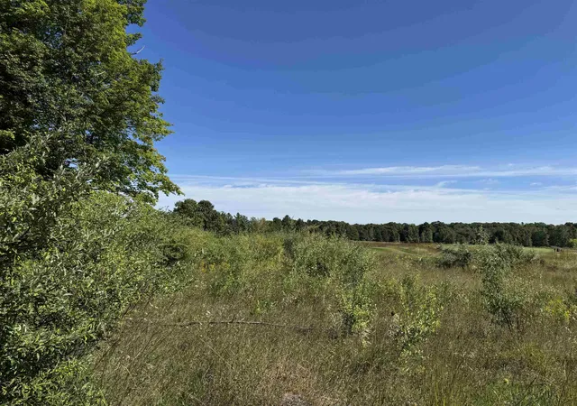 Homes for sale in Williamsburg, MI | 4829 Prestwick Ct, Williamsburg, MI 49690 | MLS# 78080061414