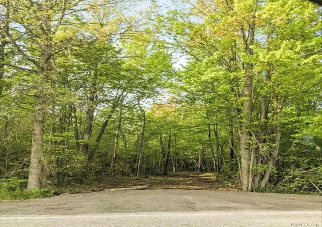 Homes for sale in Chippewa Township Isabella, MI | 9473 E Broomfield Rd, Chippewa Township Isabella, MI 48858 | MLS# 20251033395