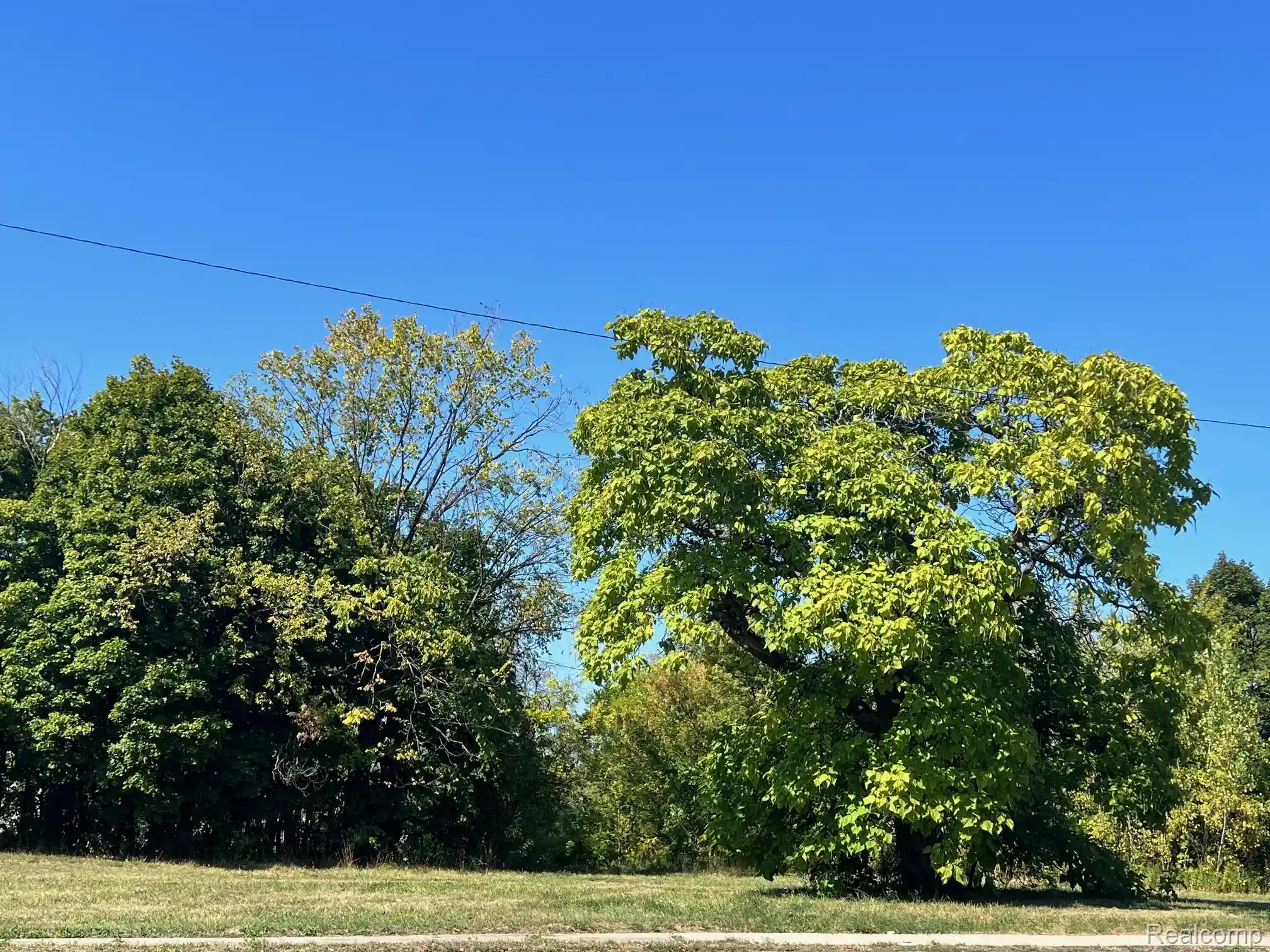 Photo 1 of Land for sale at 2937 E Vernor Hwy, Detroit, MI 48207 | MLS# 20251036343 | Listing updated on 2026-09-15