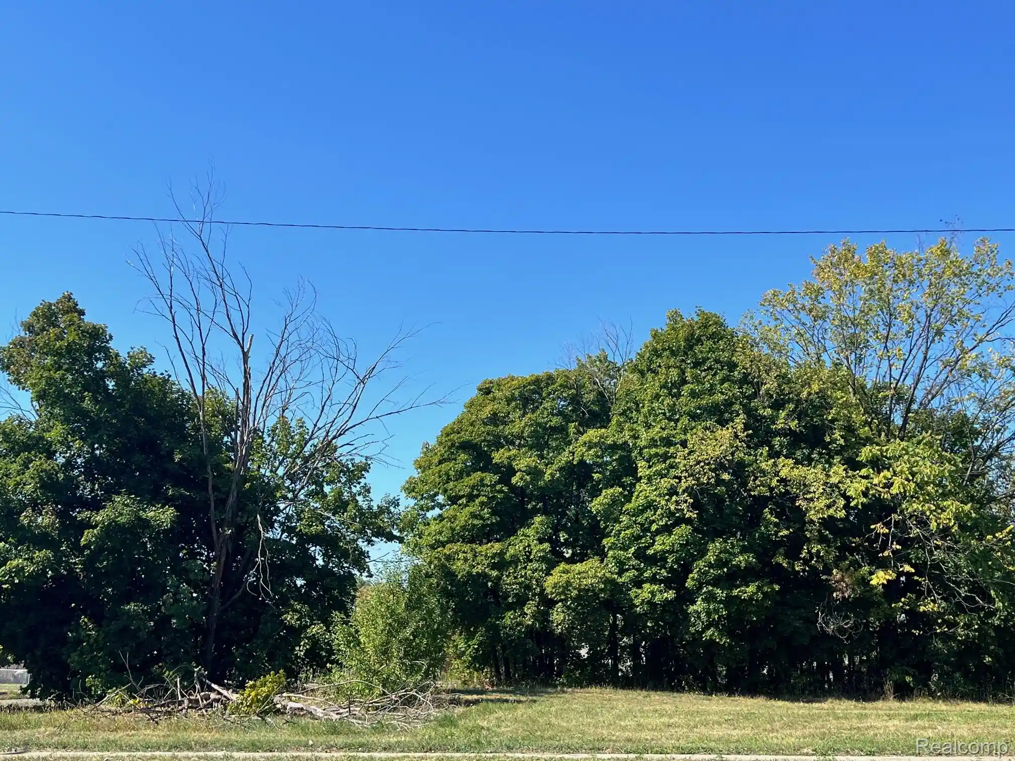 Photo 1 of Land for sale at 2943 E Vernor Hwy, Detroit, MI 48207 | MLS# 20251036418 | Listing updated on 2026-09-15