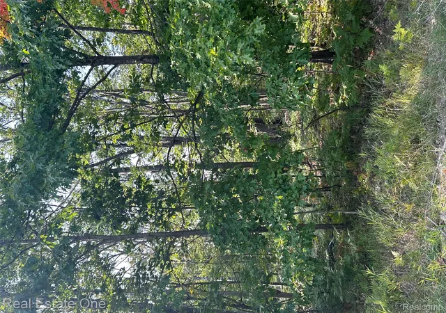 2nd image of Lots 1797 And 1798 Sandpiper Trl, Otsego Lake Township Otsego, MI 48735 | MLS# 20251036522