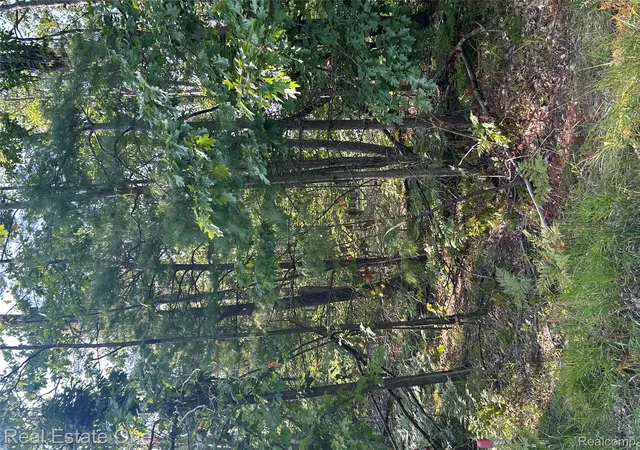 3rd image of Lots 1797 And 1798 Sandpiper Trl, Otsego Lake Township Otsego, MI 48735 | MLS# 20251036522
