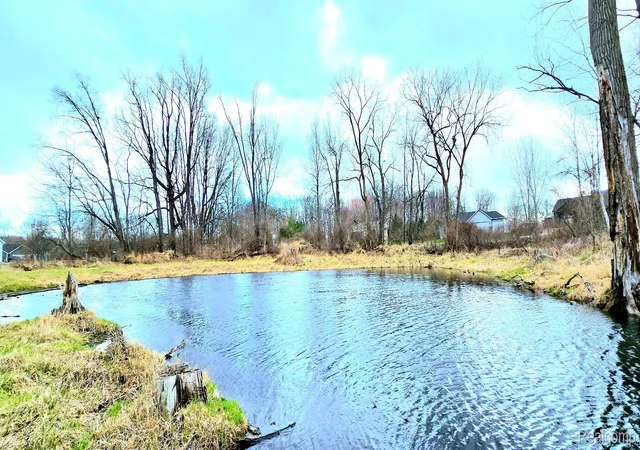 Photo 4 of Land for sale at 9860 Iosco Ridge Dr, Fowlerville, MI 48836 | MLS# 20251037047 | Listing updated on 2026-06-30
